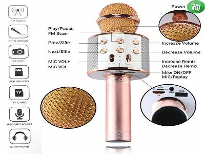 Wireless + Bluetooth Karaoke Microphone